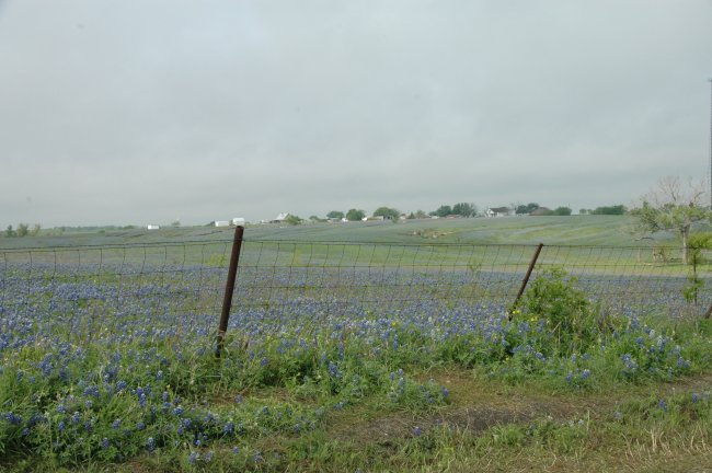 Event_2013_05_April_Wednesday_Breakfast_and_Bluebonnet_Tour/html/../previews/002-DSC_4748.JPG.medium.jpeg