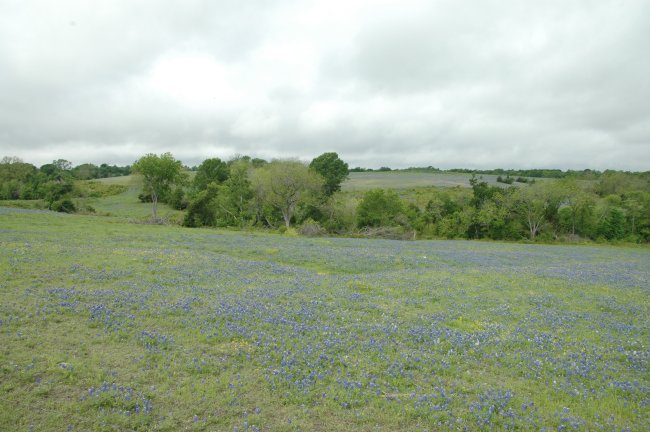 Event_2013_05_April_Wednesday_Breakfast_and_Bluebonnet_Tour/html/../previews/011-DSC_4767.JPG.medium.jpeg