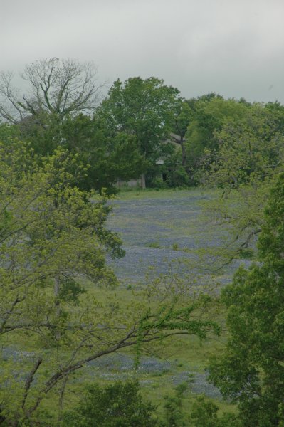 Event_2013_05_April_Wednesday_Breakfast_and_Bluebonnet_Tour/html/../previews/012-DSC_4769.JPG.medium.jpeg